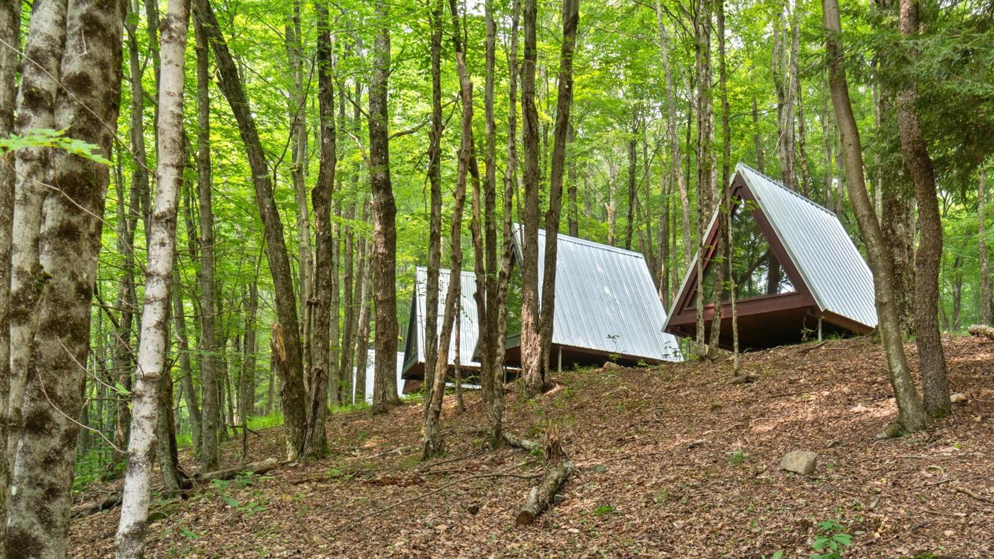 Callicoon Hills Callicoon Center Exteriér fotografie